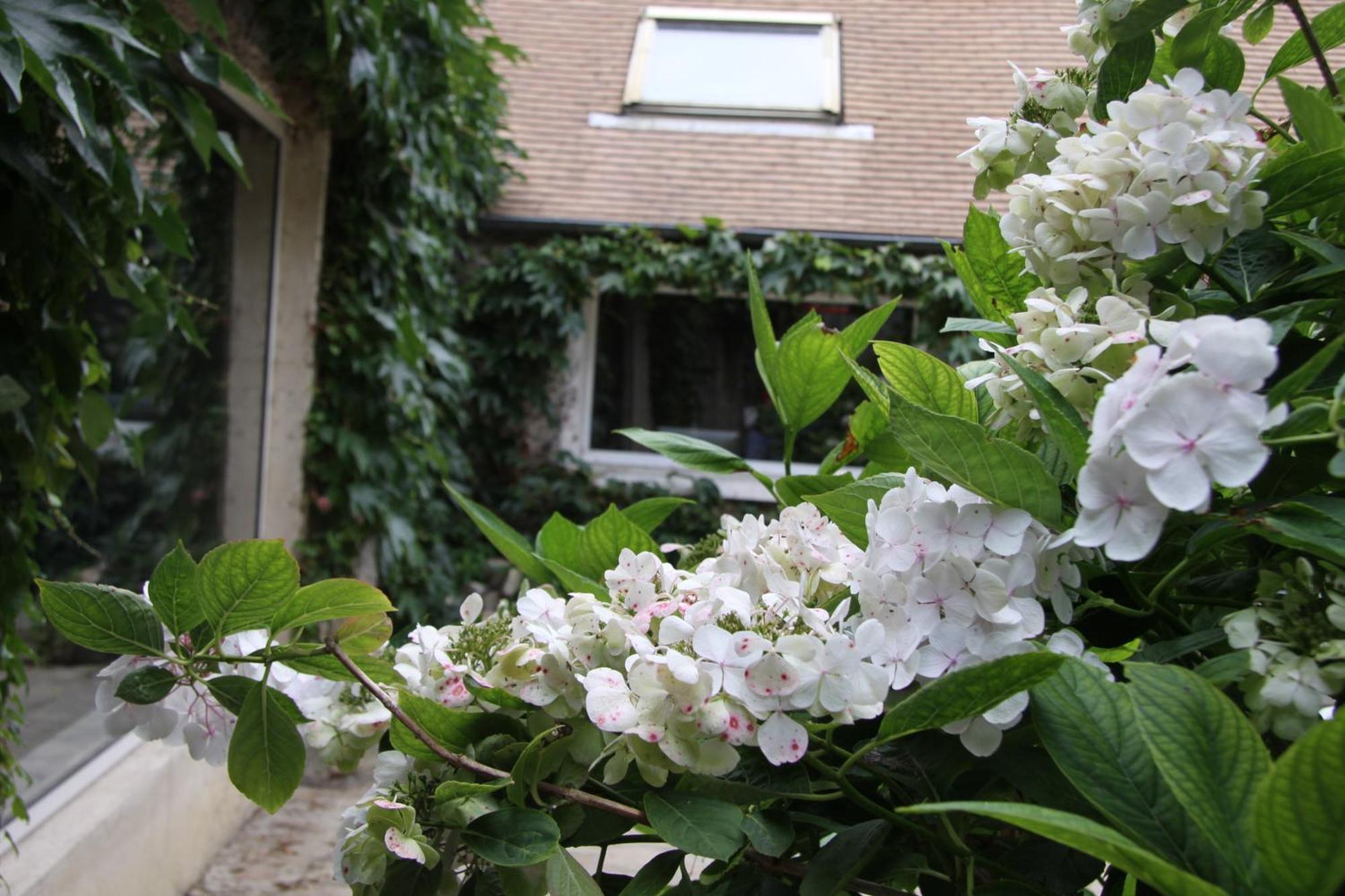 L'Hibernie Bed & Breakfast Rochefort-en-Yvelines Exterior photo